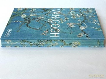 Van Gogh: The Bigger Picture - Anne Sefrioui [KSIĄŻKA]