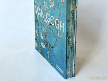 Van Gogh: The Bigger Picture - Anne Sefrioui [KSIĄŻKA]