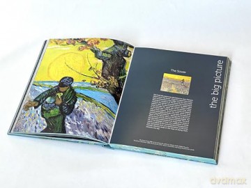 Van Gogh: The Bigger Picture - Anne Sefrioui [KSIĄŻKA]