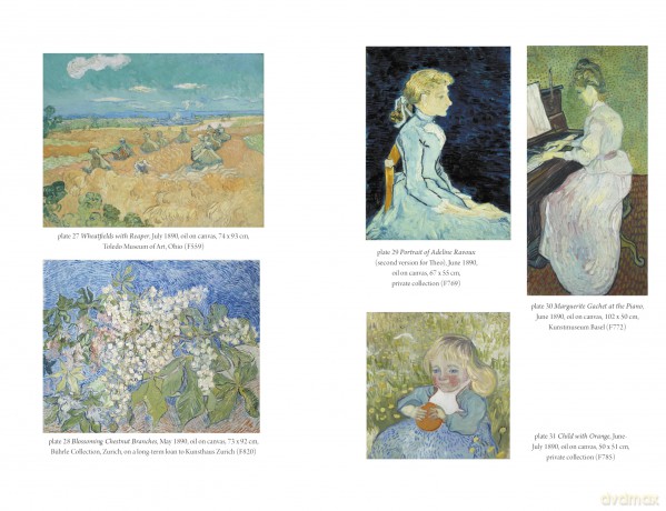Van Gogh's Finale: Auvers and the Artist's Rise to Fame - Martin Bailey [KSIĄŻKA]