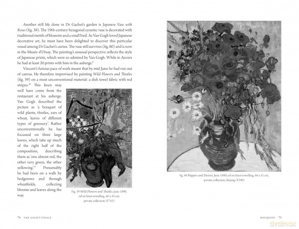 Van Gogh's Finale: Auvers and the Artist's Rise to Fame - Martin Bailey [KSIĄŻKA]