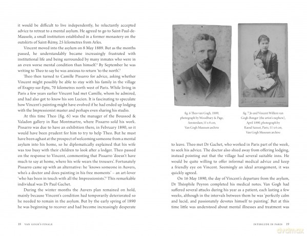 Van Gogh's Finale: Auvers and the Artist's Rise to Fame - Martin Bailey [KSIĄŻKA]