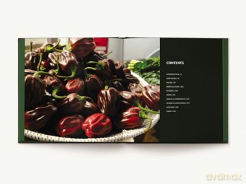 VEG: Fresh, Vibrant, Delicious (Ultimate) [KSIĄŻKA]