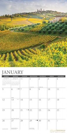 Vineyards 2025 Wall [KSIĄŻKA]