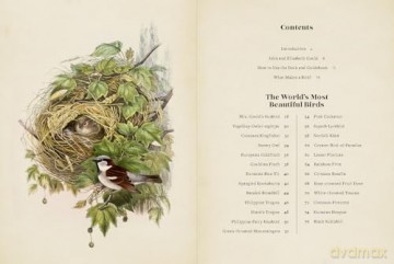 Vintage Birds: A Guidebook and Matching Game - Roger J. Lederer [KSIĄŻKA]