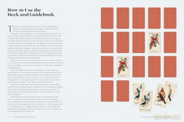 Vintage Birds: A Guidebook and Matching Game - Roger J. Lederer [KSIĄŻKA]
