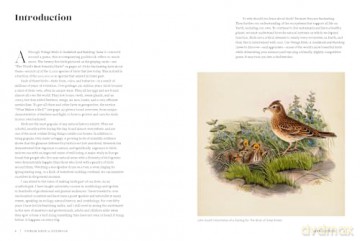 Vintage Birds: A Guidebook and Matching Game - Roger J. Lederer [KSIĄŻKA]