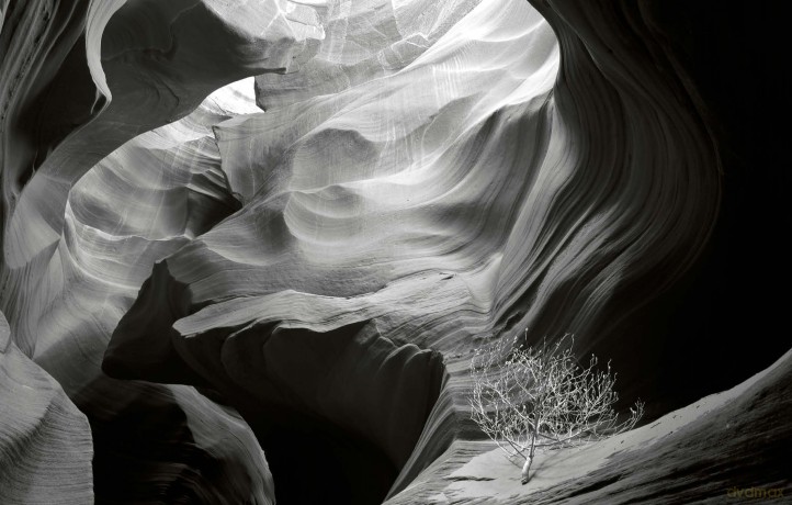 Visions of Paradise: American Wilderness - Jon Ortner [KSIĄŻKA]