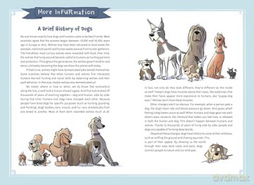 Wagnificent: The Adventures of Thunder and Sage: 1 - Murguia [KSIĄŻKA]