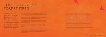 Waiting for the Dawn: A Tale of Forest Fires and Renewal - Fabiola Anchorena [KSIĄŻKA]