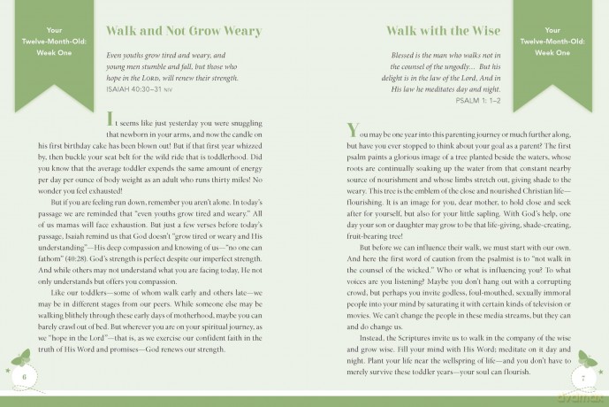 Walking in Wonder: A Devotional Journal for Moms of Toddlers - Catherine Claire Larson [KSIĄŻKA]
