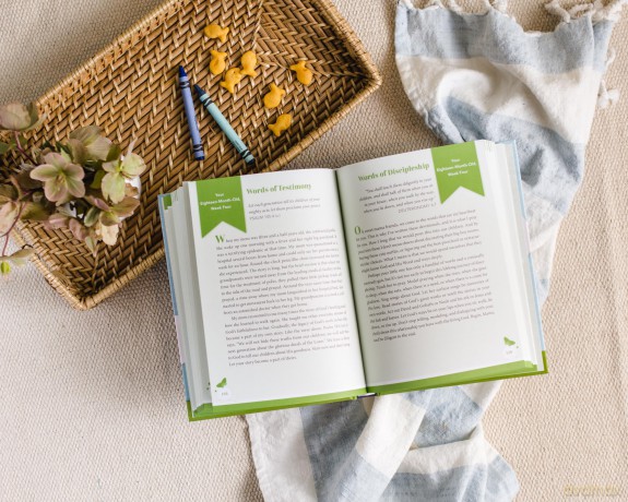 Walking in Wonder: A Devotional Journal for Moms of Toddlers - Catherine Claire Larson [KSIĄŻKA]