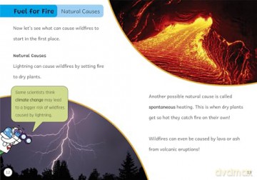 Warning: Wildfires: (Purple Band) (Maverick Non-Fiction) [KSIĄŻKA]