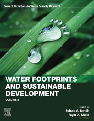 Water Footprints and Sustainable Development: Volume 8 (Current Directions in Water Scarcity Research, Volume 8) - Bandh [KSIĄŻKA]