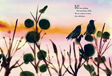 We Are Starlings: Inside the Mesmerizing Magic of a Murmuration - Robert Furrow [KSIĄŻKA]