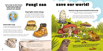 We Need FUNGUS!: Celebrating the icky but important parts of Earth's ecology - Addy Farmer [KSIĄŻKA]