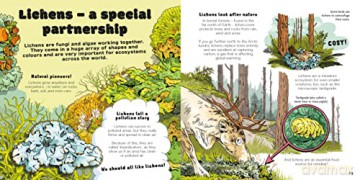 We Need FUNGUS!: Celebrating the icky but important parts of Earth's ecology - Addy Farmer [KSIĄŻKA]