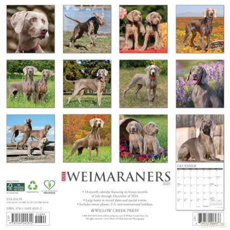 Weimaraners 2025 Wall [KSIĄŻKA]