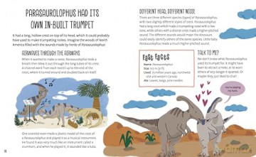 Weird and Wonderful Dinosaur Facts - Anne Rooney [KSIĄŻKA]