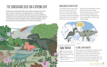 Weird and Wonderful Dinosaur Facts - Anne Rooney [KSIĄŻKA]