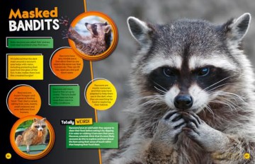 Weird but true! 2025: Discover weird, unbelievable facts and world records in this popular annual for the whole family (National Geographic Kids) - National Geographic Kids [KSIĄŻKA]