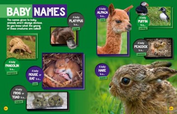 Weird but true! 2025: Discover weird, unbelievable facts and world records in this popular annual for the whole family (National Geographic Kids) - National Geographic Kids [KSIĄŻKA]