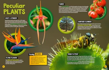 Weird but true! 2025: Discover weird, unbelievable facts and world records in this popular annual for the whole family (National Geographic Kids) - National Geographic Kids [KSIĄŻKA]
