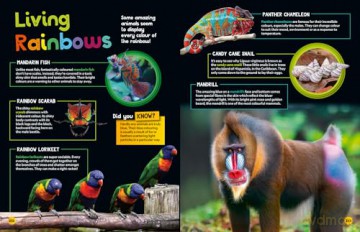 Weird but true! 2025: Discover weird, unbelievable facts and world records in this popular annual for the whole family (National Geographic Kids) - National Geographic Kids [KSIĄŻKA]