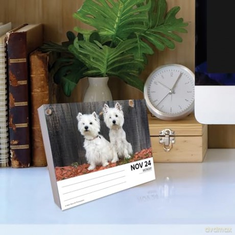 Westies 2025 Box [KSIĄŻKA]
