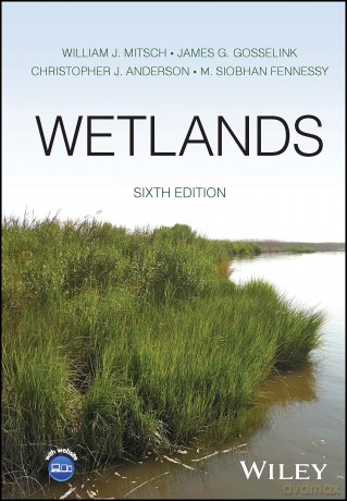 Wetlands - William J. Mitsch [KSIĄŻKA]