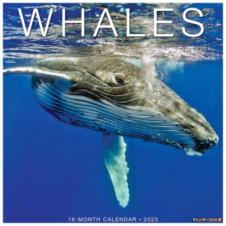 Whales 2025 Wall [KSIĄŻKA]