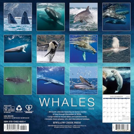 Whales 2025 Wall [KSIĄŻKA]