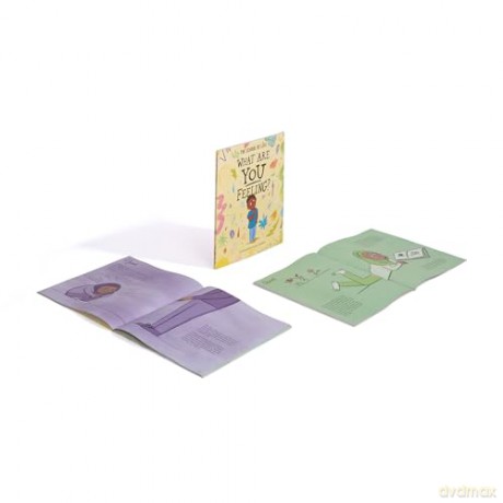 What Are You Feeling: A picture book of your emotions - The School of Life [KSIĄŻKA]