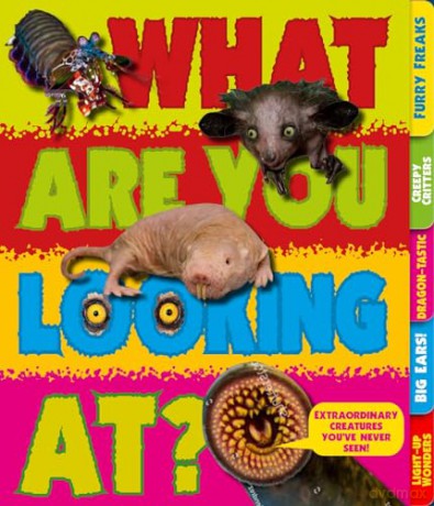What Are You Looking At: Extraordinary creatures you've never seen! - Sara Stanford [KSIĄŻKA]