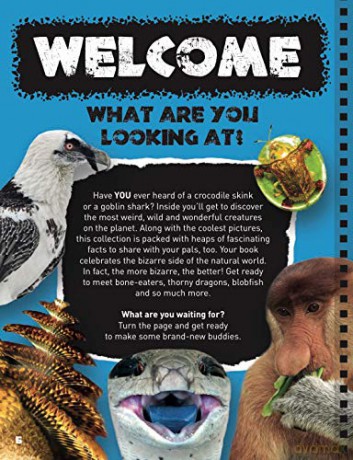 What Are You Looking At: Extraordinary creatures you've never seen! - Sara Stanford [KSIĄŻKA]