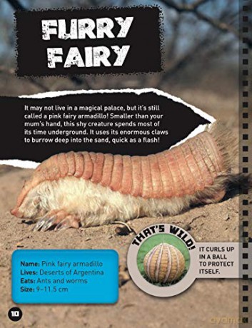 What Are You Looking At: Extraordinary creatures you've never seen! - Sara Stanford [KSIĄŻKA]
