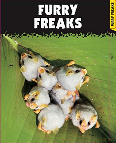 What Are You Looking At: Extraordinary creatures you've never seen! - Sara Stanford [KSIĄŻKA]