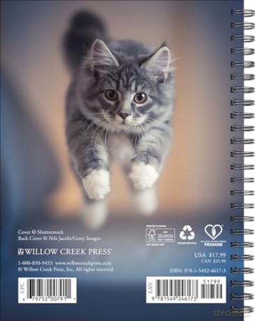 What Cats Teach Us Engagement 2025 [KSIĄŻKA]