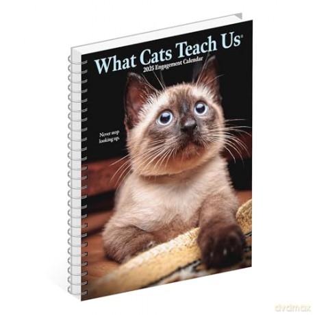 What Cats Teach Us Engagement 2025 [KSIĄŻKA]