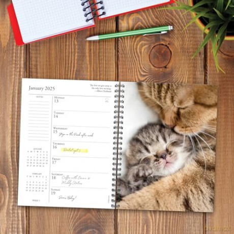 What Cats Teach Us Engagement 2025 [KSIĄŻKA]