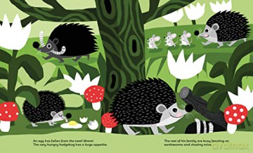 What Do Animals Eat (Curious Creatures): 2 - Katerina Gorelik [KSIĄŻKA]