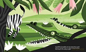 What Do Animals Eat (Curious Creatures): 2 - Katerina Gorelik [KSIĄŻKA]
