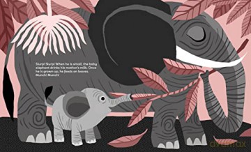 What Do Animals Eat (Curious Creatures): 2 - Katerina Gorelik [KSIĄŻKA]