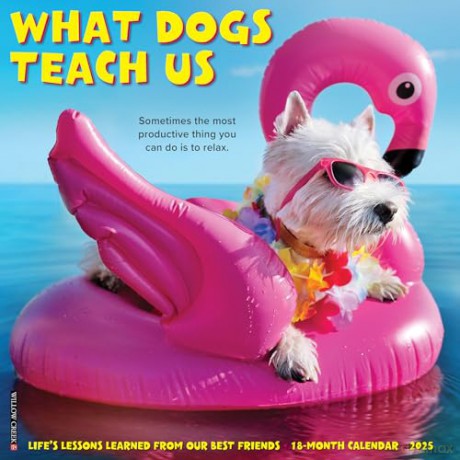 What Dogs Teach Us 2025 Wall [KSIĄŻKA]