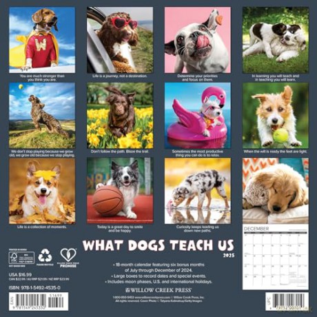 What Dogs Teach Us 2025 Wall [KSIĄŻKA]