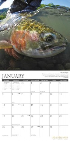 What Fly Fishing Teaches Us 2025 Wall [KSIĄŻKA]