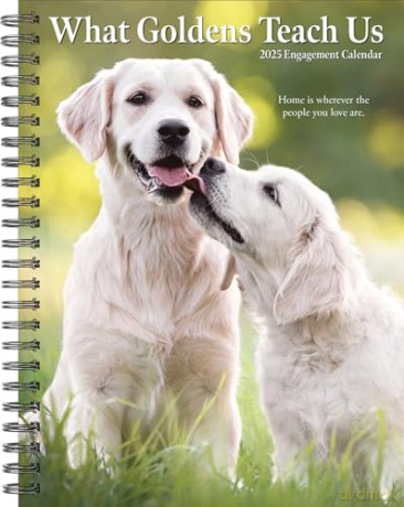 What Goldens Teach Us Engagement 2025 [KSIĄŻKA]