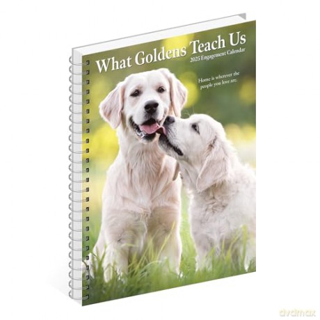 What Goldens Teach Us Engagement 2025 [KSIĄŻKA]