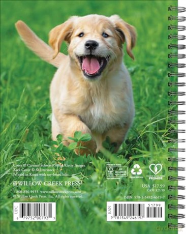 What Goldens Teach Us Engagement 2025 [KSIĄŻKA]