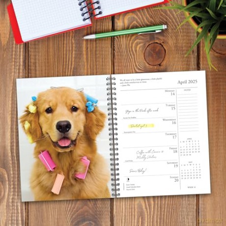 What Goldens Teach Us Engagement 2025 [KSIĄŻKA]